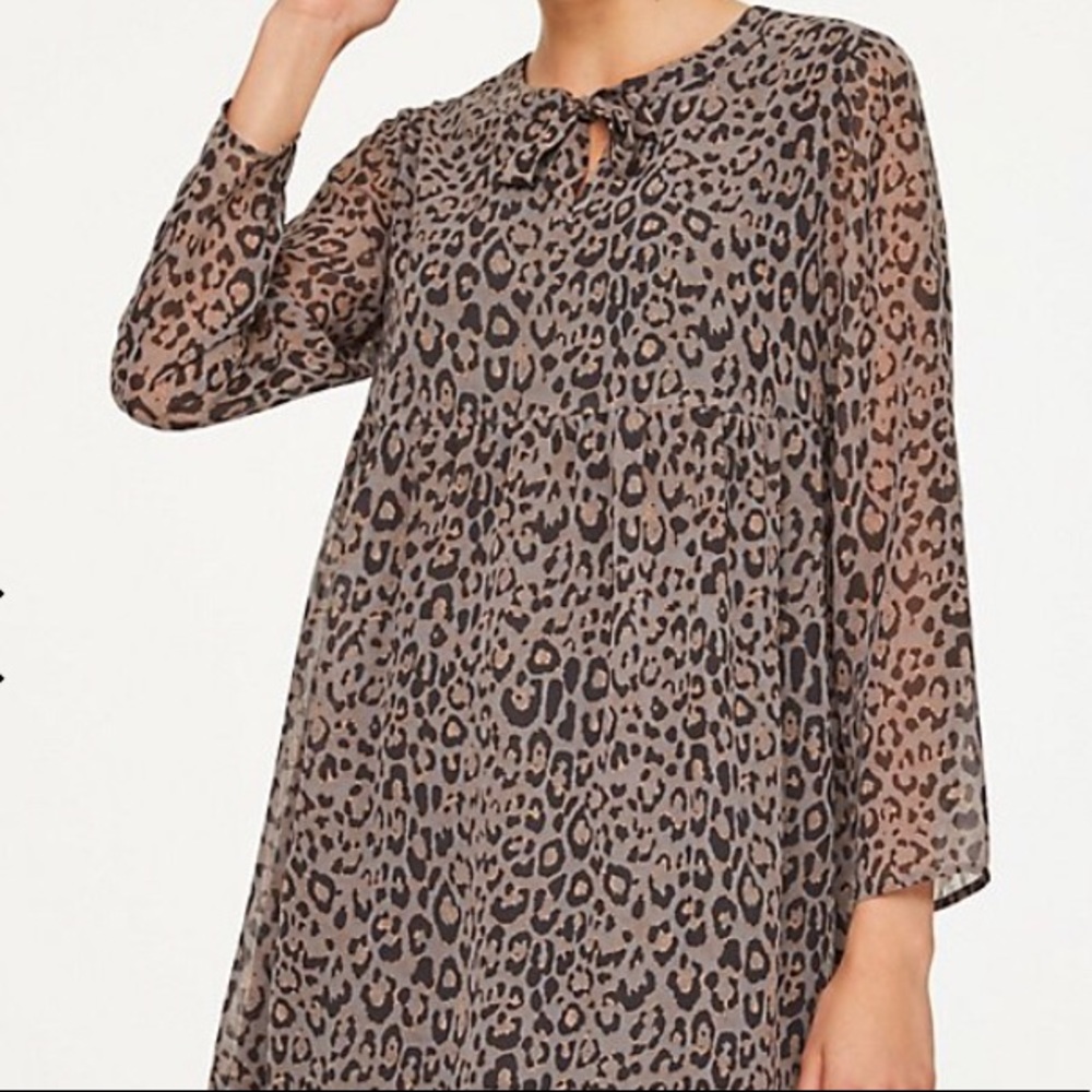 Leopard Grey LOFT dress Sz XS NWT